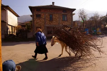 Чезнат села в Малешевска планина