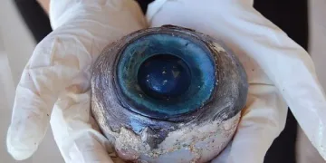 Огромно око изплува край Флорида