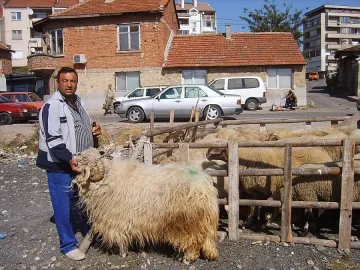 Вяла търговия с животни преди Курбан байрама