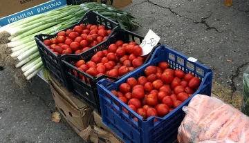 На екскурзия за туршия     