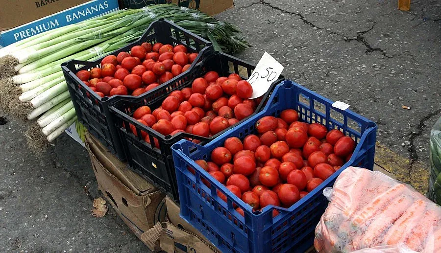 На екскурзия за туршия