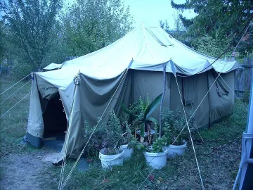 Перник чака първи сняг на палатки     