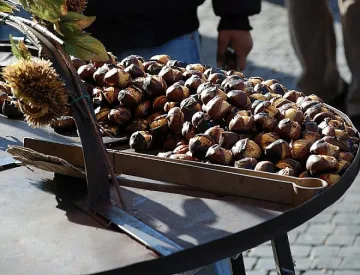 Каним гърци и македонци на печени кестени