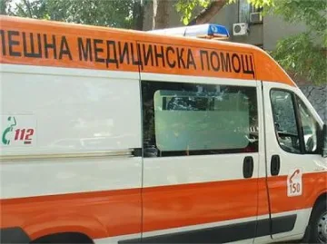 Почина нахапаното от куче дете