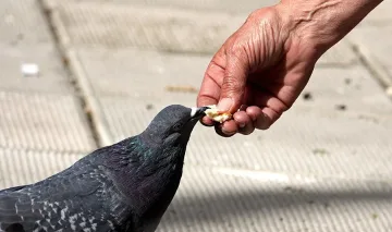 София се оказа слабозаселена столица