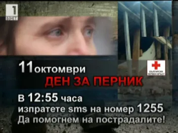 Лавина от SMS-и за Перник