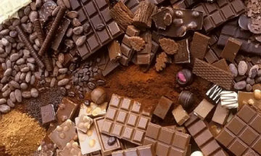 Шоколадът ражда нобелисти