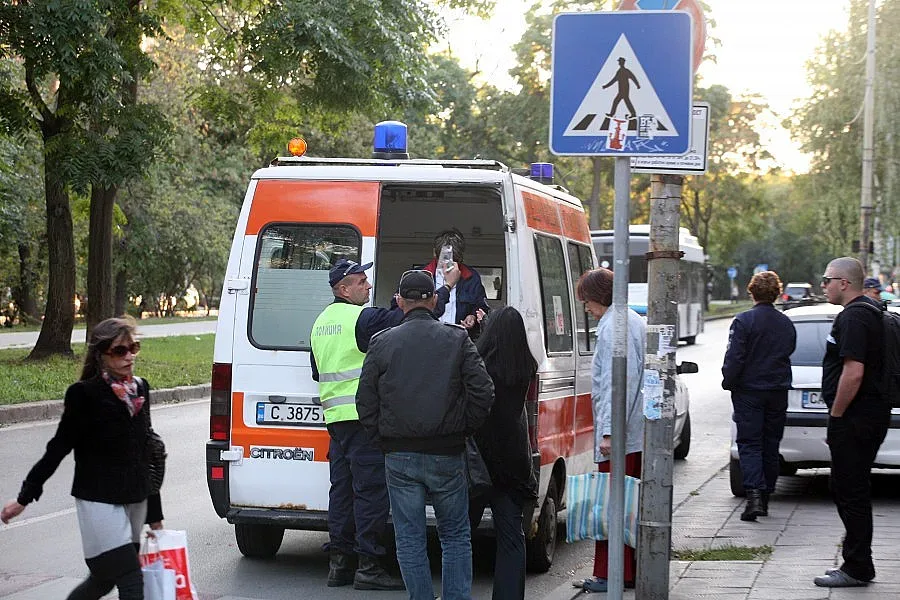 Бутнаха бременна с дете на зебра