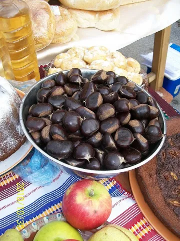 Кестенова гора ще храни село Брежани