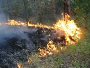 Разследват кой подпали Балкана край Сливен