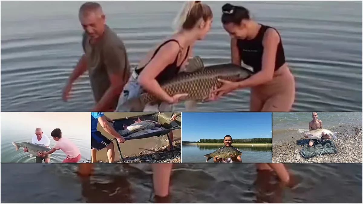 Огромни риби излизат на язовир Копринка