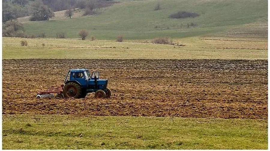 Земеделците притеснени за сеитбата на пшеница