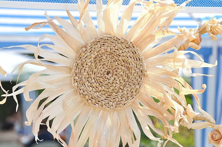 Куклите от шума на гости при владика