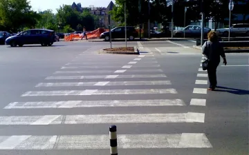 Бус потроши столетничка