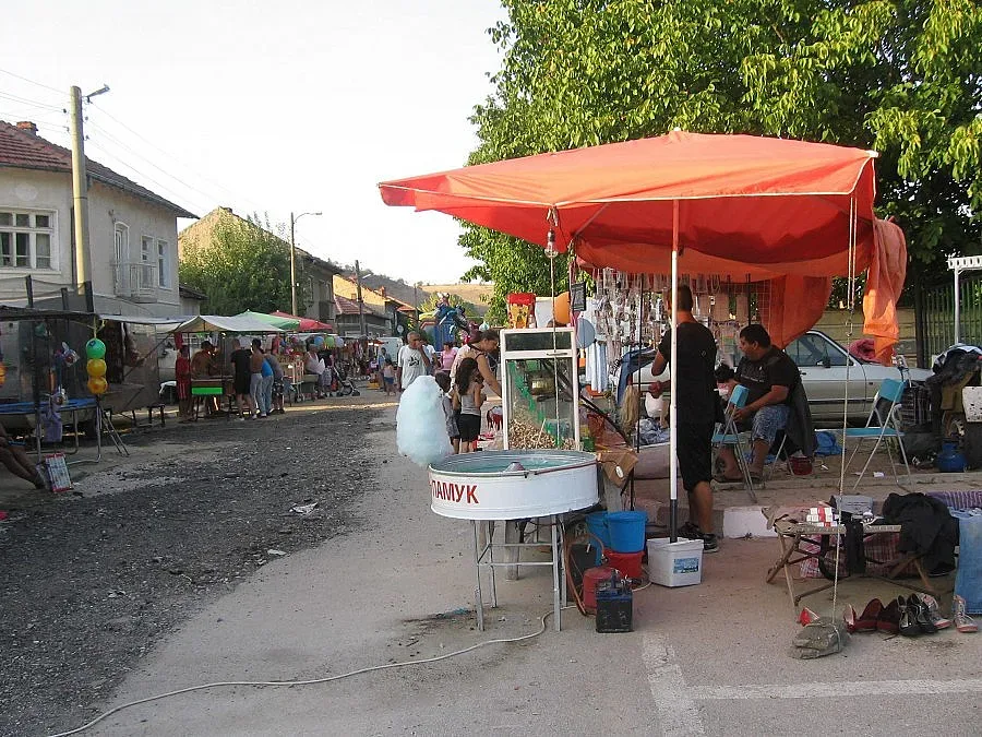 Роми конкурират Мишо Шамара