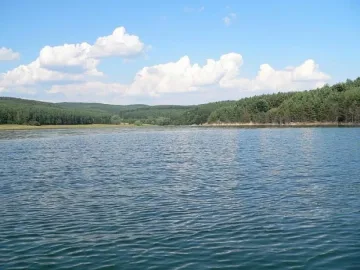 Жена се удави в язовир