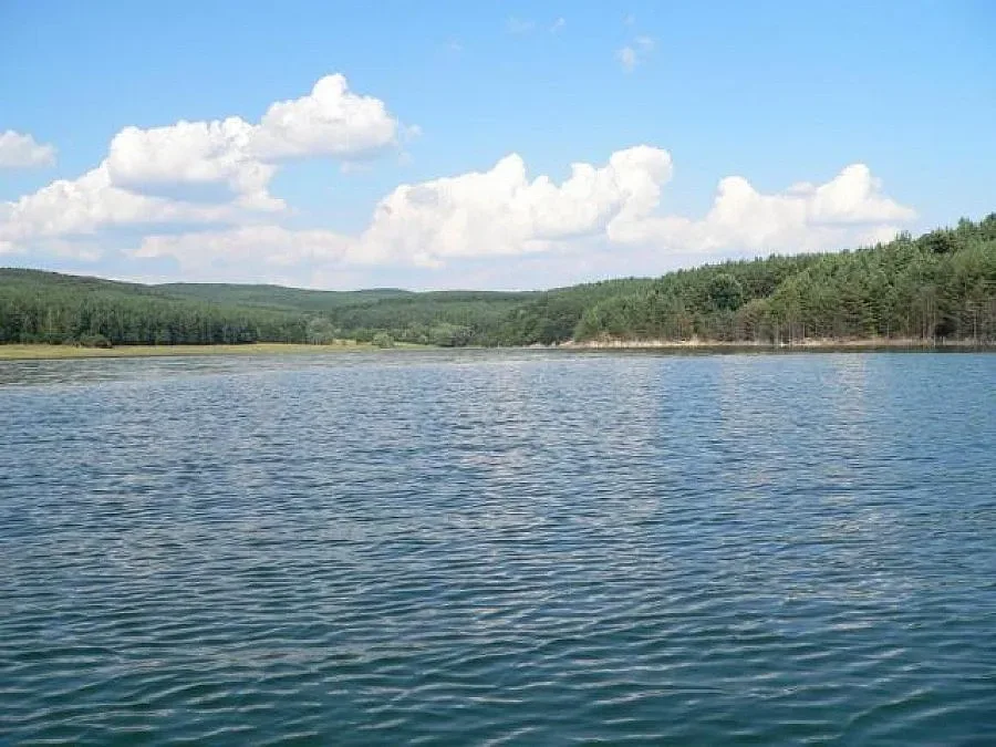 Жена се удави в язовир