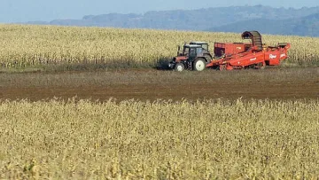 Земята в Добричко чупи рекорди