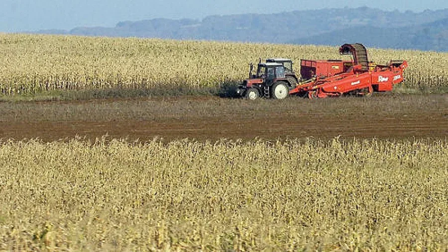 Земята в Добричко чупи рекорди