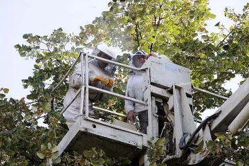 Свалиха 13-килограмов кошер от центъра на Стара Загора