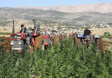 Търговете за ниви тръгват днес        