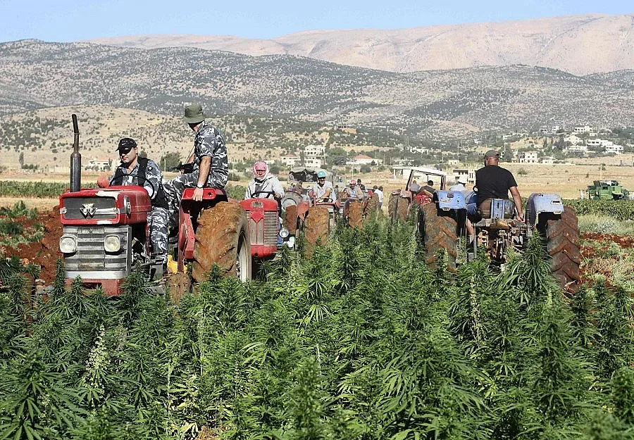 Търговете за ниви тръгват днес