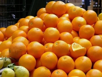 Дон Портокал остава в ареста, пуснаха жена му