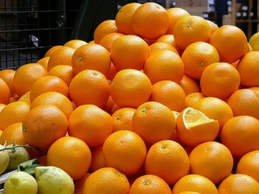 Дон Портокал остава в ареста, пуснаха жена му