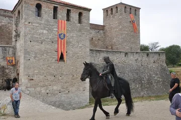 Американци снимат филм в “Баба Вида”