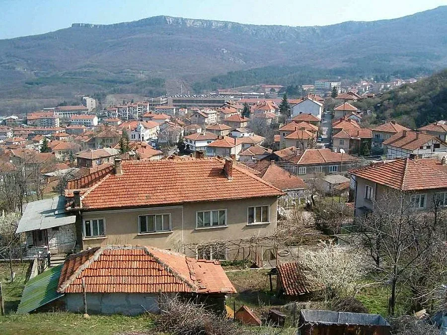 Пръскат “Карловица” заради хепатит