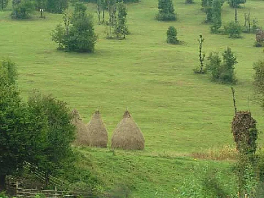 Брюксел дава Е148 за пасище в Натура