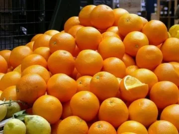 Дон Портокал забогатял с кебапчета