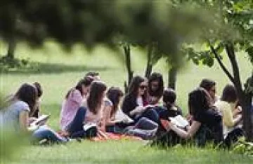 Правят библиотека под небето