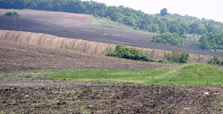 Наплив за държавни ниви