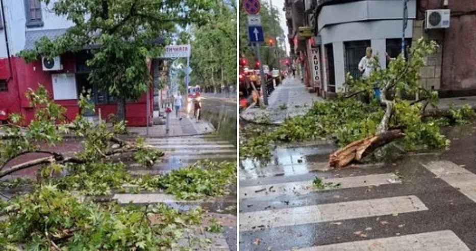 Бурята помете наш град. Летят дървета