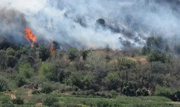Военен хеликоптер гаси пожара над Витоша