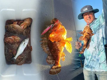 Нов деликатес на морето ни. Отровен, но много вкусен, казват рибарите