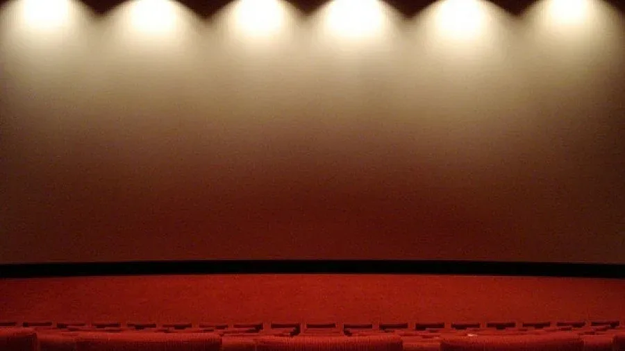 Двама на кино с един билет