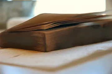 Намериха книга на 6000 г. в Протоград   