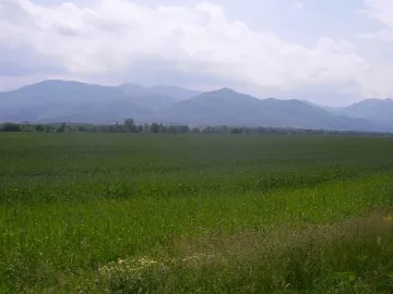 Животновъд на прокурор за измама със земи