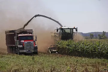 Пестим пари от големи ниви   