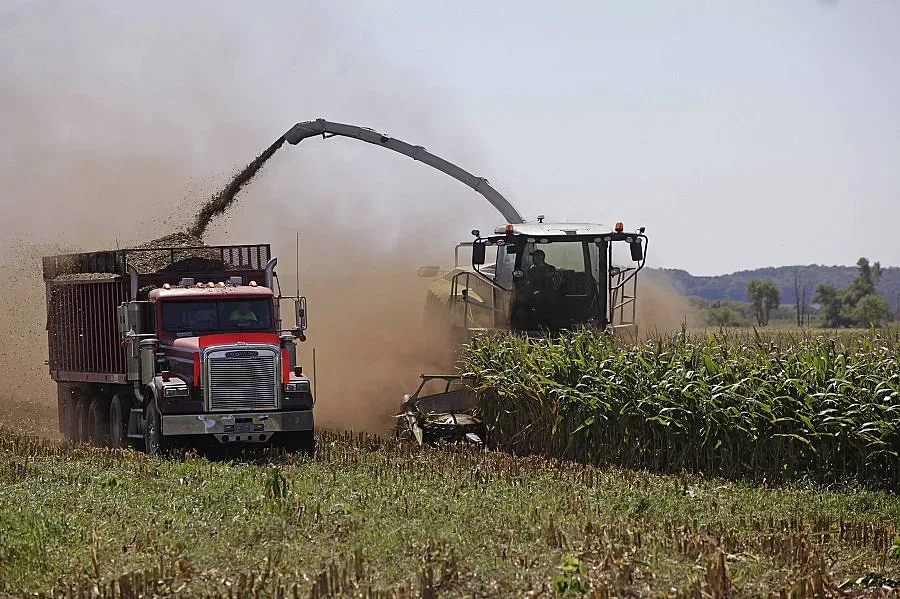 Пестим пари от големи ниви