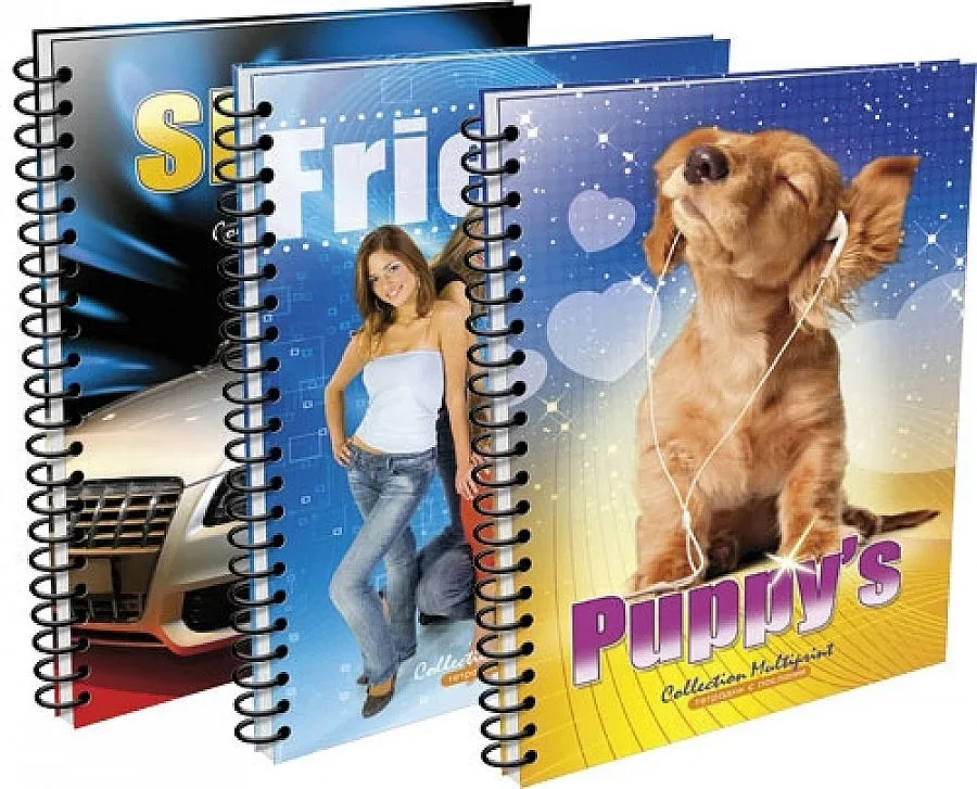 Тетрадките с певици и въоръжени мъже - табу в Шуменско