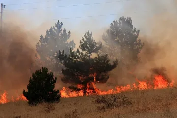 Огън остави селяни с празни бъчви