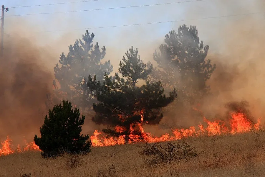 Огън остави селяни с празни бъчви