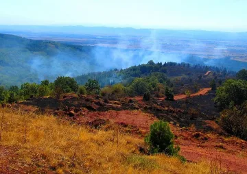 Кола подпали гора