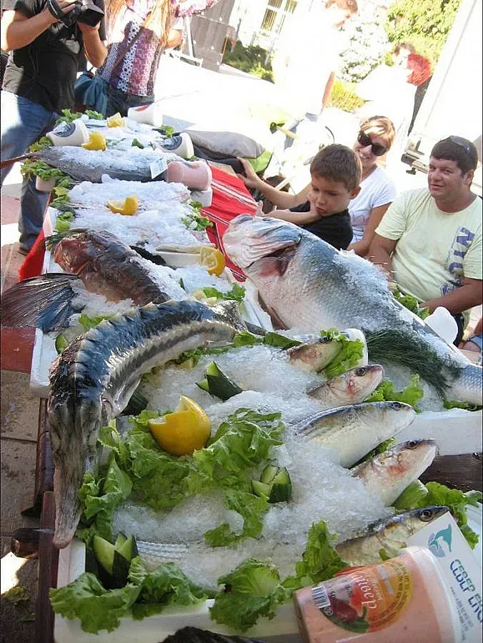 Риба на корем в Каварна