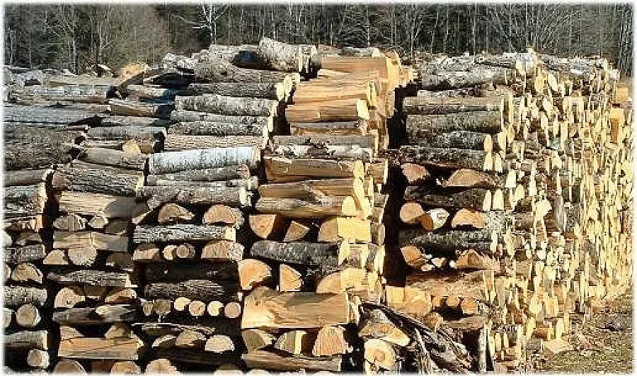 Пуснаха евтините държавни дърва