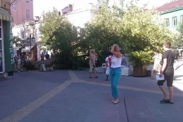 Жена със счупен прешлен от паднало дърво