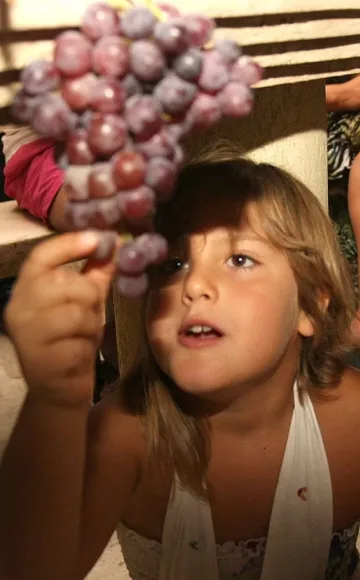 Левче за кило грозде